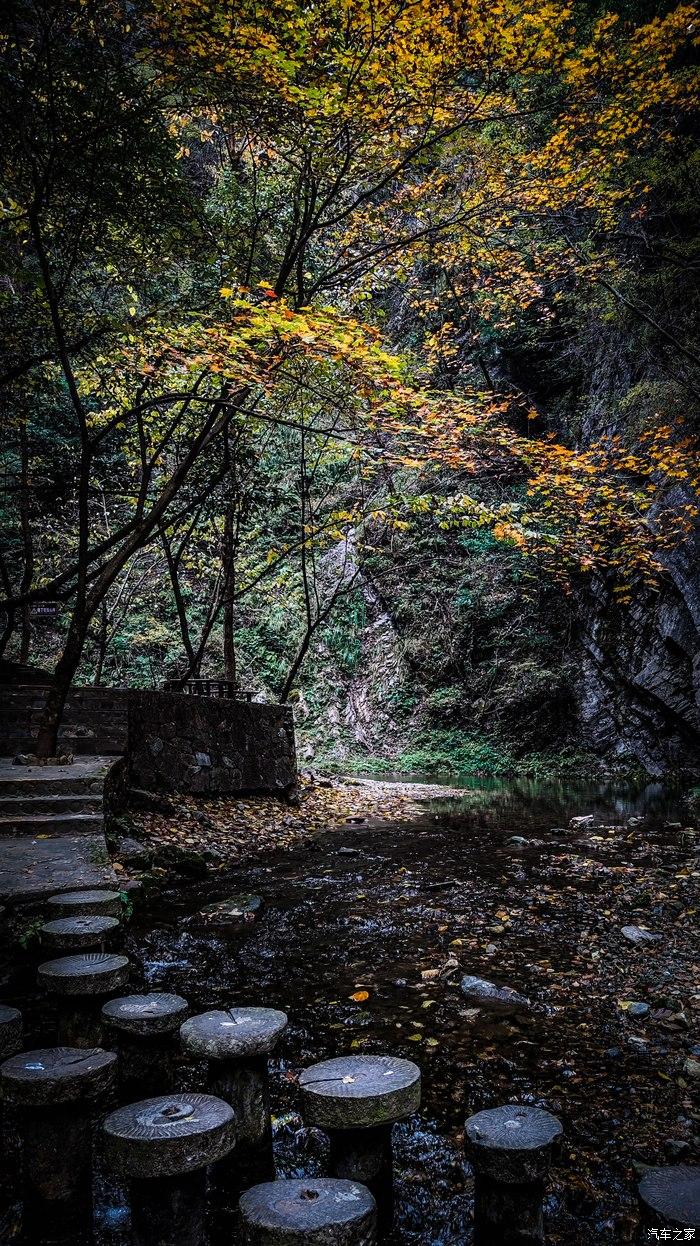 一人一唐,自驾洛南金丝峡,瞰五彩斑斓深秋神瀑峡沟