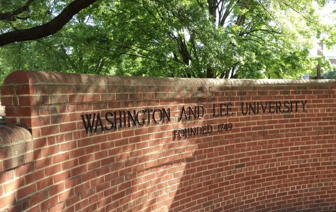 棕榈评价not unmindful of the future.