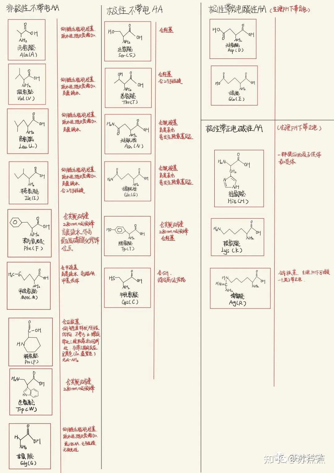 考研资料 | 生理与生化笔记 - 知乎
