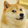 程序狗