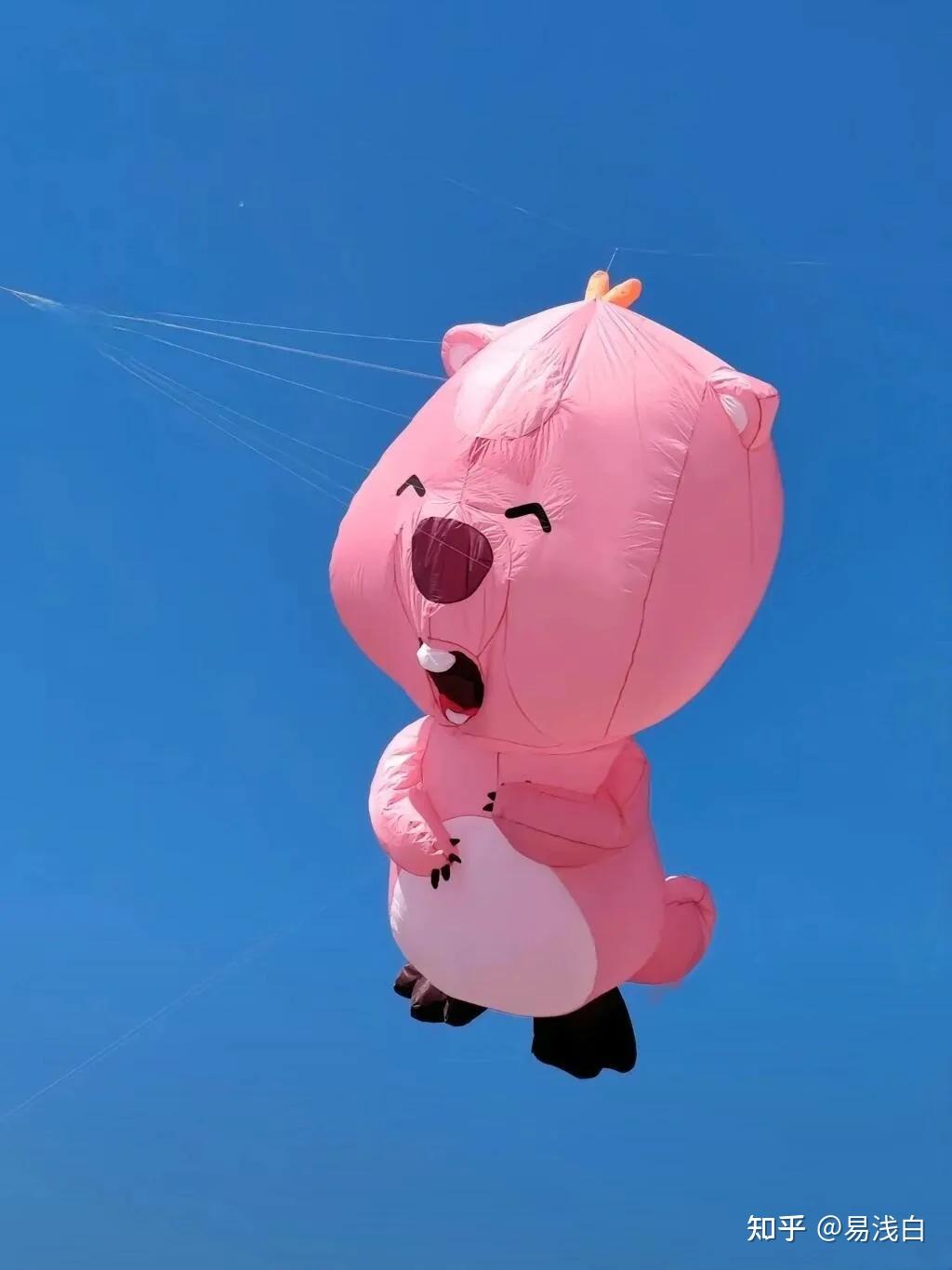 这精神状态遥遥领先啊!