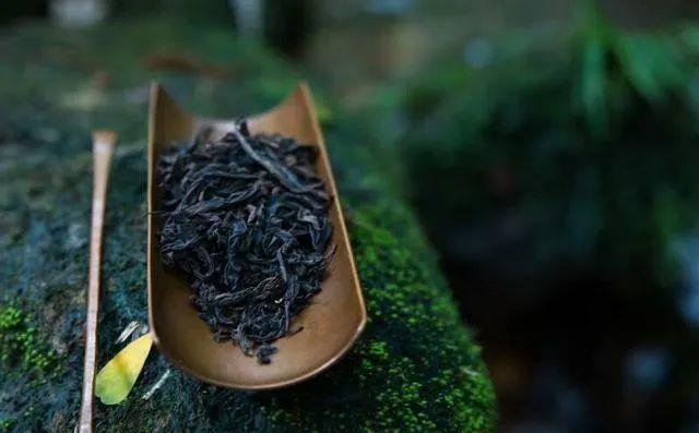 坑涧好茶香高水醇慧苑肉桂