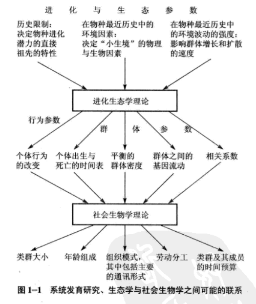 生物の社会進化 ロバート・トリヴァース-