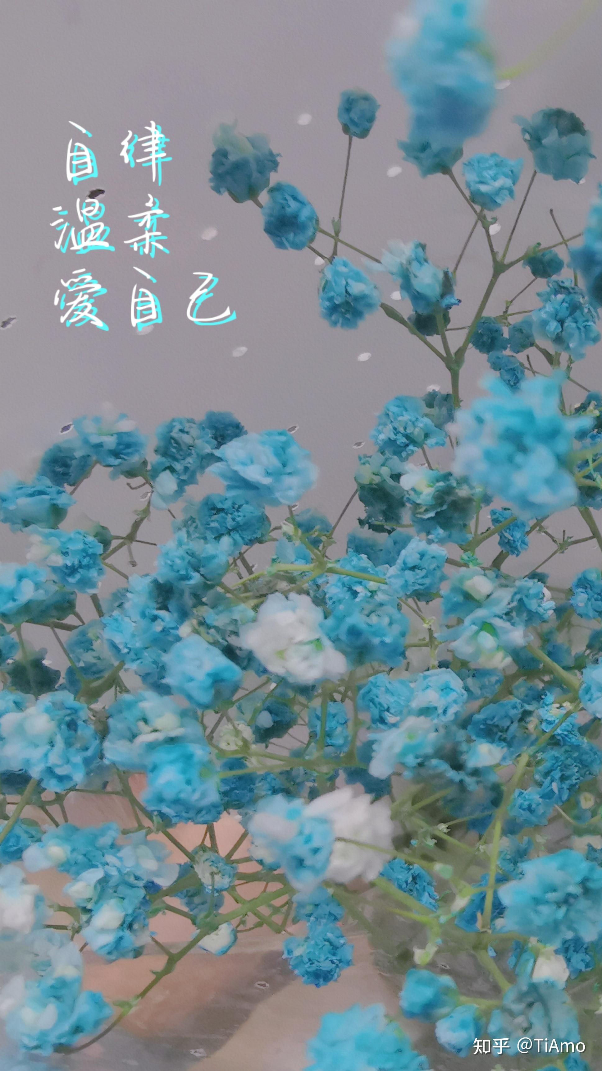 每一张壁纸,都是一个故事