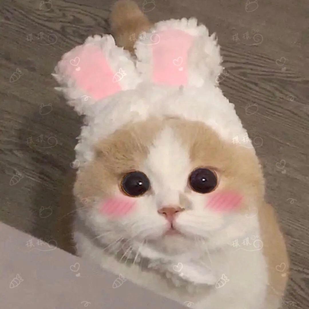 130张超好看的微信头像-好看微信头像男2021