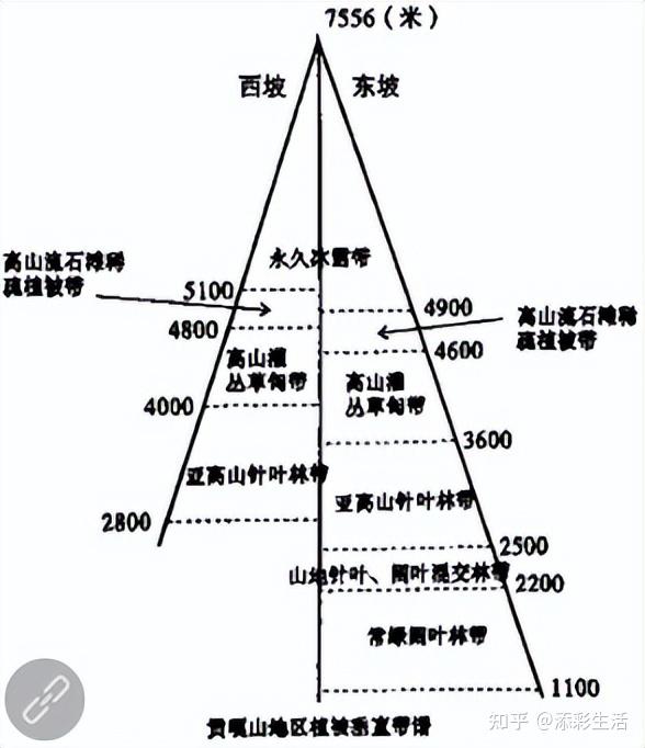 山地垂直自然带示意图图片