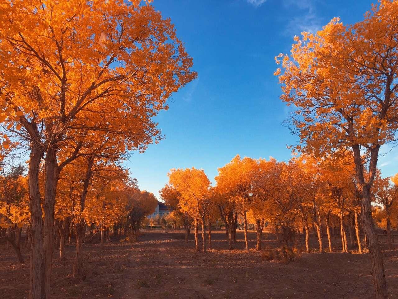 去内蒙旅游有哪些实用建议和攻略?
