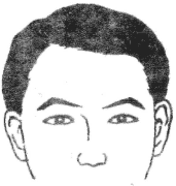 面相入门--五官细谈之“眉毛” - 知乎