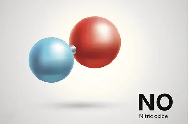 abbkine一氧化氮no检测试剂盒