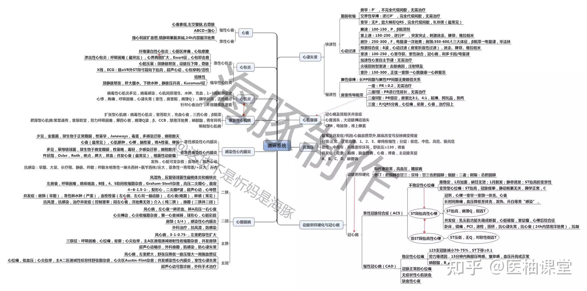 内科学思维导图分享