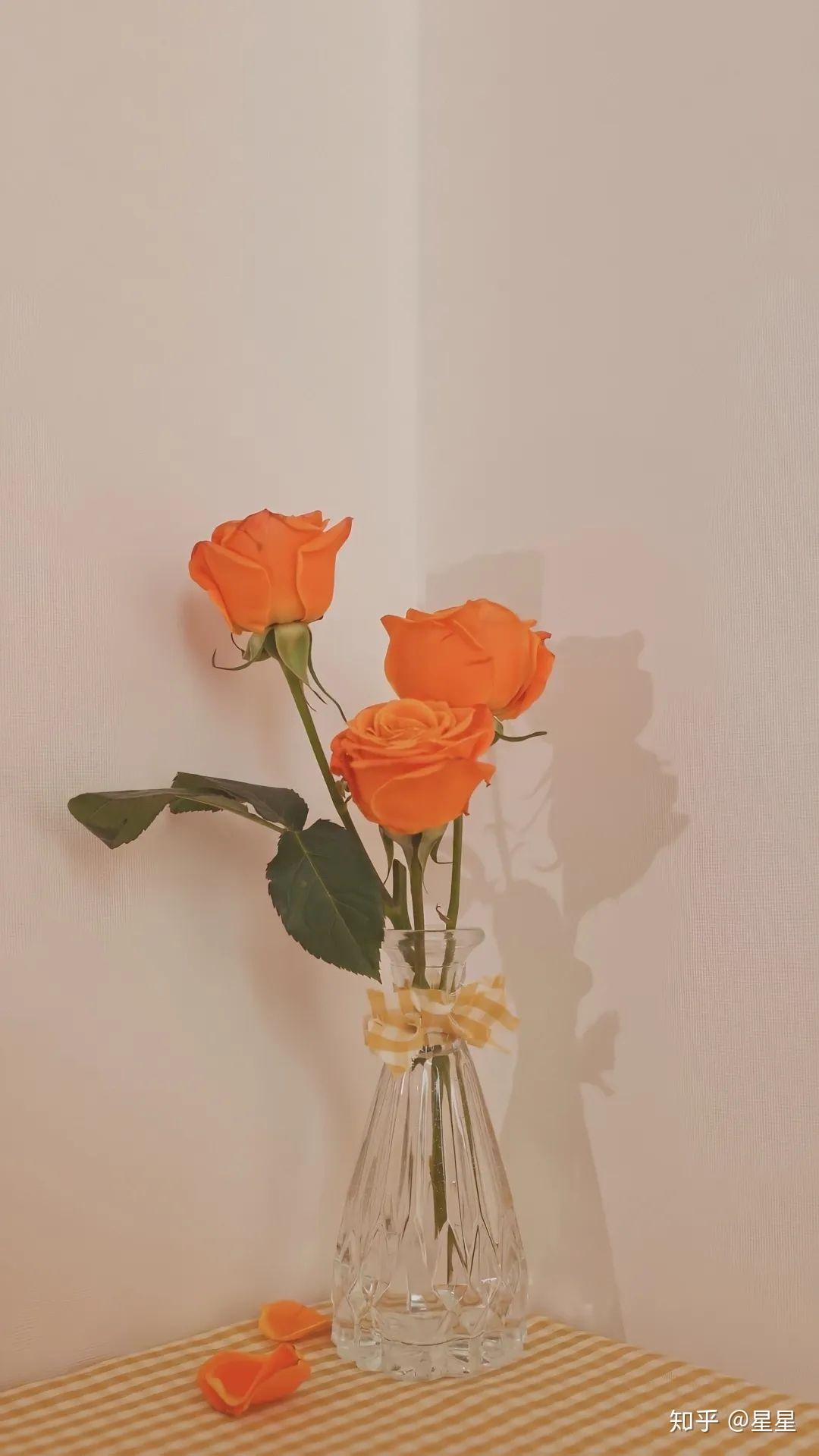 有哪些好看到舍不得删的背景图