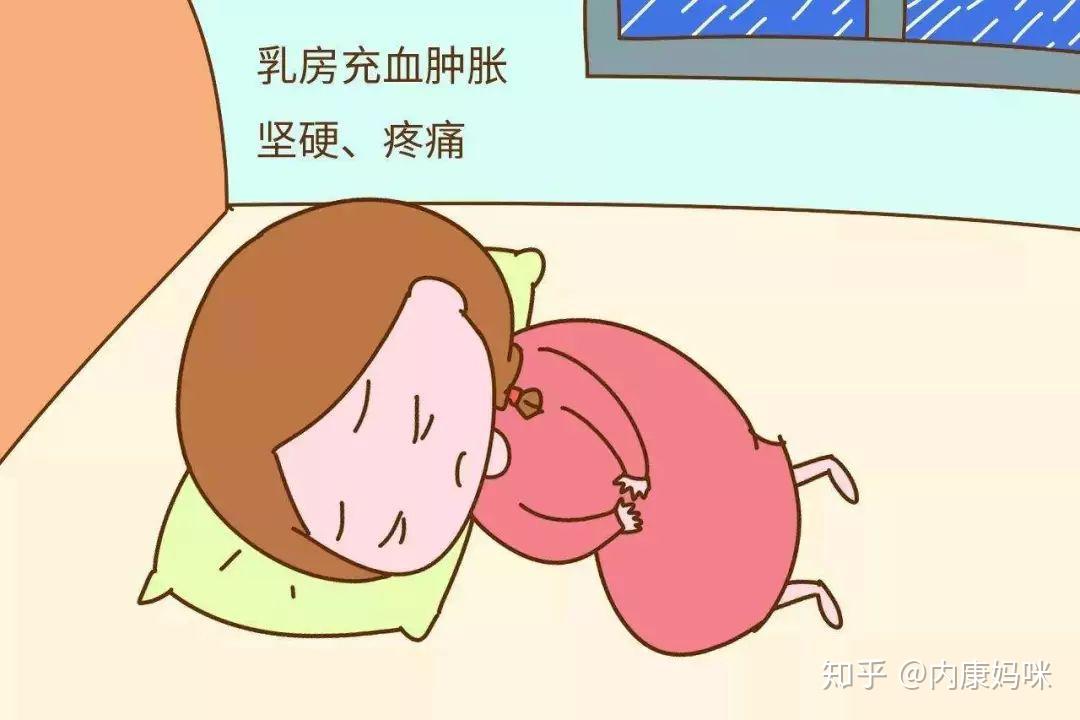 事实上,堵奶涨奶是一种常见的现象,也是哺乳和断奶期必须经历的一个