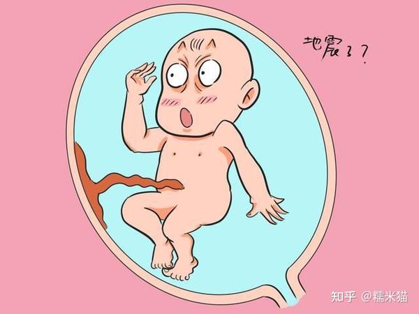 孕產胎教育兒百科_男生子吧孕中孕假胎膠囊_妃子多胎巨肚胎中胎孕中孕