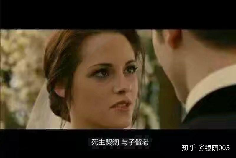 好的电影截图 v2-796259368589a27322f0086a95a6d7e1_r.jpg