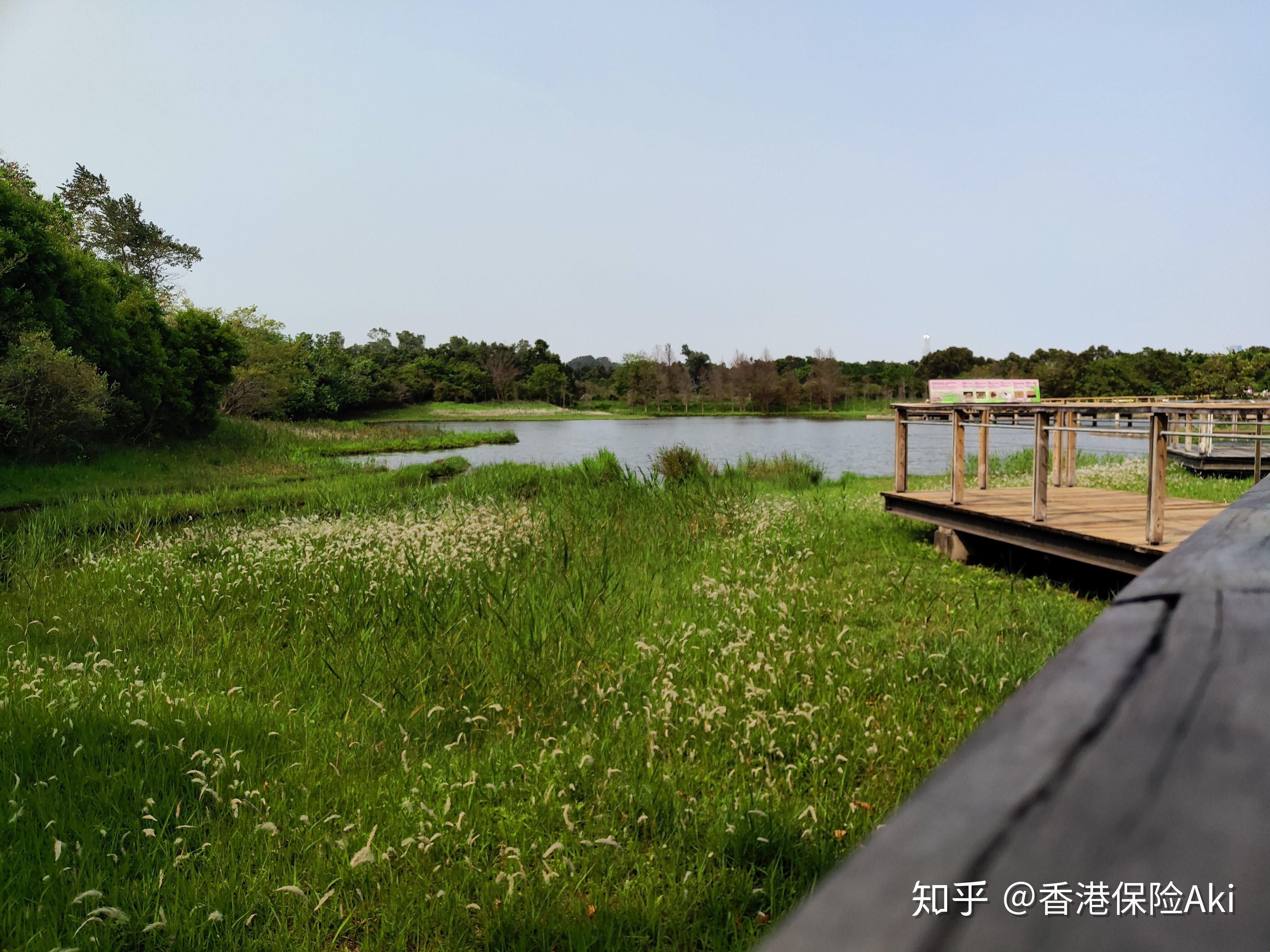 香港溼地公園位於香港新界元朗區天水圍北部,佔地超過60公頃,世界級的