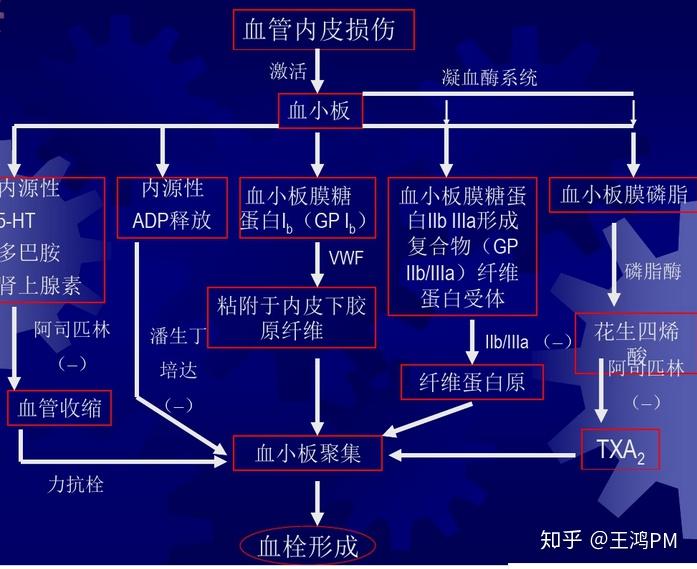 抗血小板药