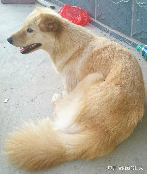 我家的美女(*~3~)╭小花花砸你