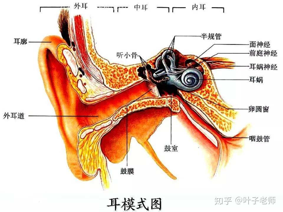 v2-797552ee599f1eec8bd56589bfba36f3_r.jpg