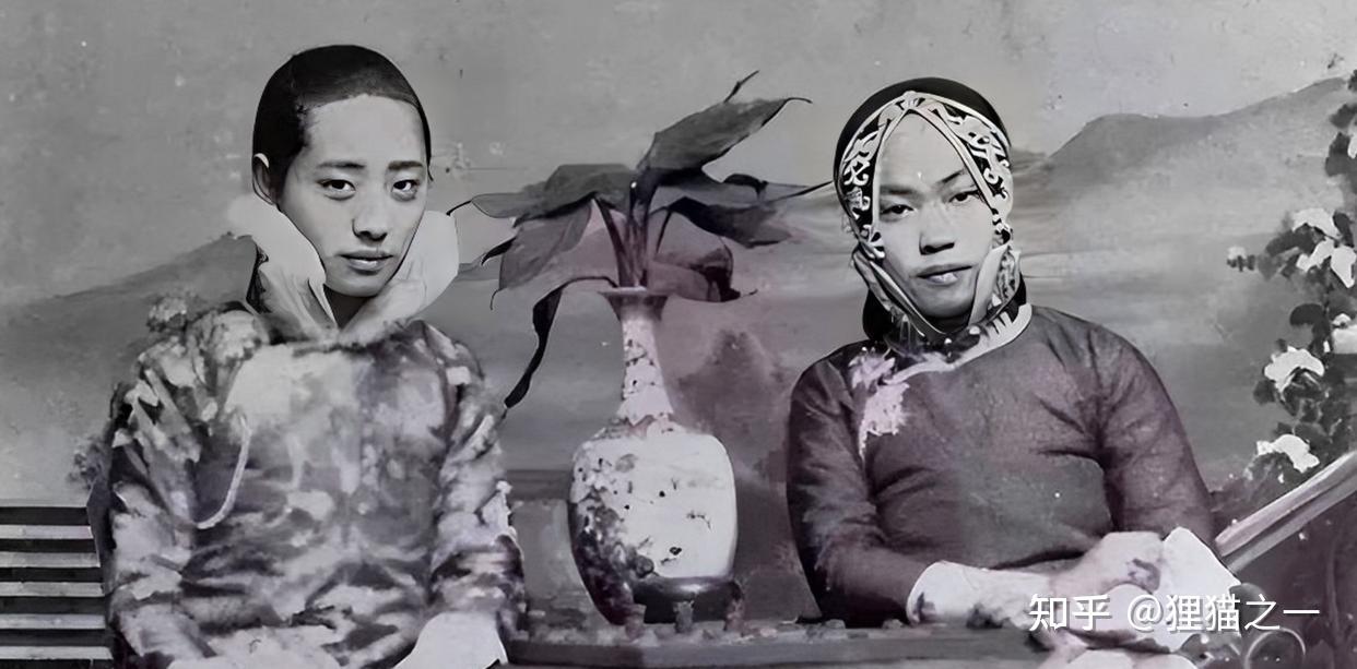古代青楼的老板娘为何叫“老鸨”?看了鸨鸟怎么交配,才知道原因 - 知乎