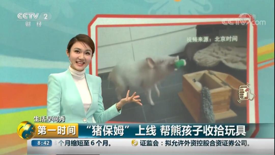 猪保姆 会帮孩子收拾玩具 家长们仰天长啸 孩子什么时候才学会收拾 知乎 猪保姆 会帮孩子收拾玩具 家长们仰天长啸 孩子什么时候才学会收拾 知乎
