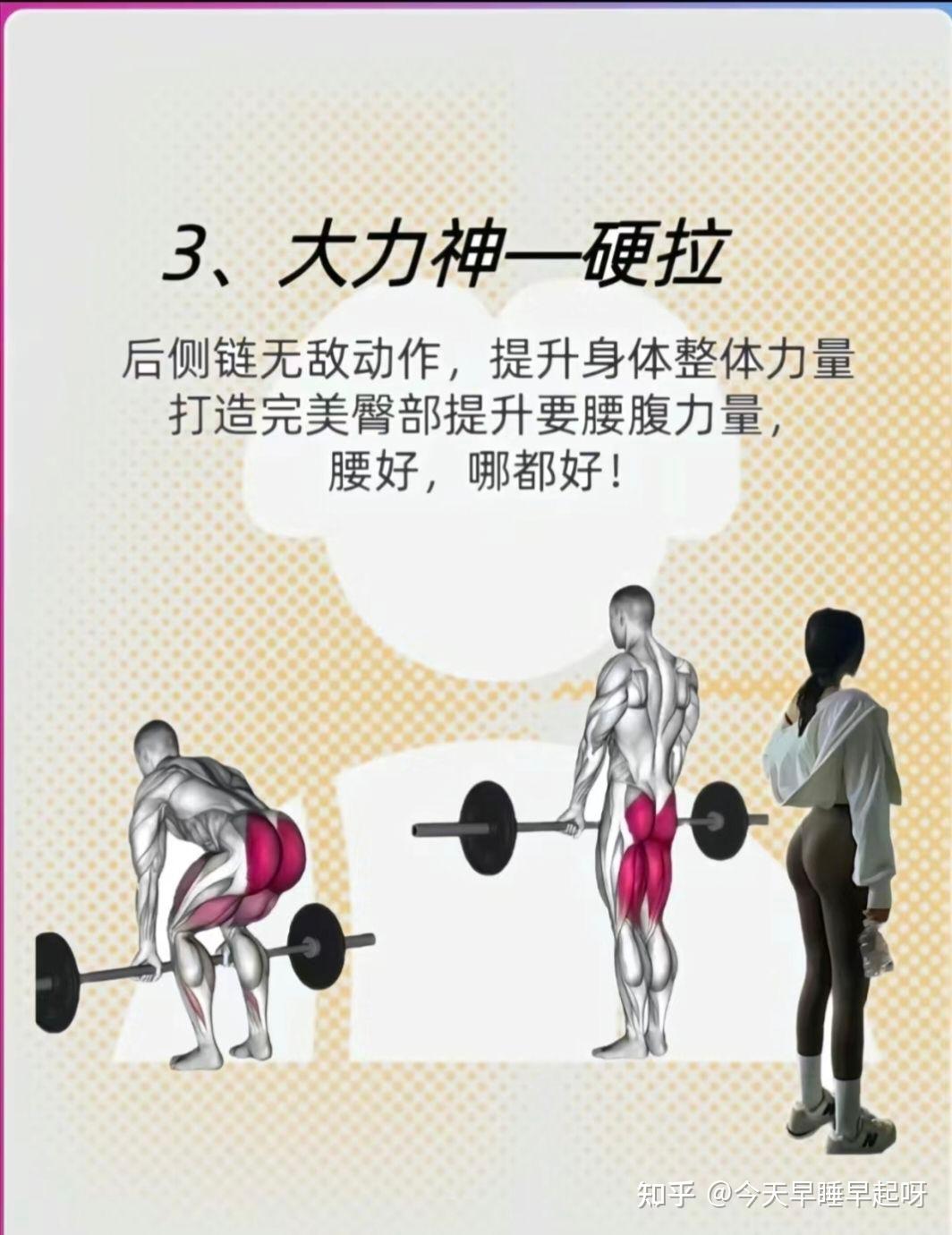 健身7大黄金动作 - 知乎