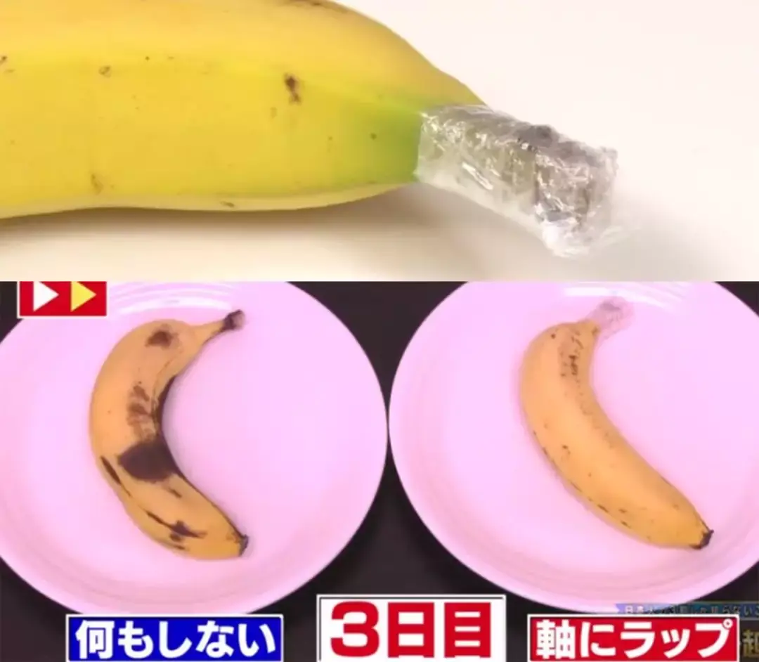 100条生活小妙招,分分钟打开新世界的大门,百万家庭省钱必备!-打开新的世界的大门英语