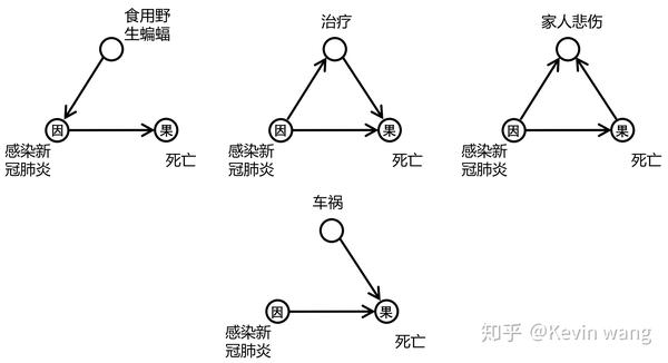 無監督的視覺常識特徵學習因果關係上的一點探索cvpr2020