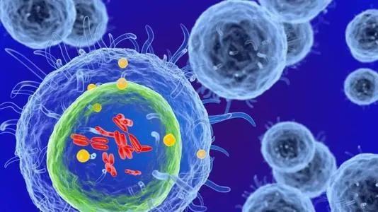 v2-799c9f64085fc815a7b9afe6cfa28c70_1440w.jpg?source=172ae18b