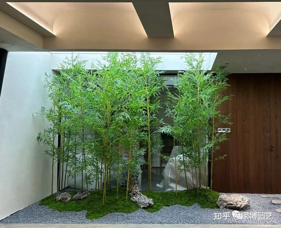家博艺墅|庭院景观设计中的必备·竹子 - 知乎