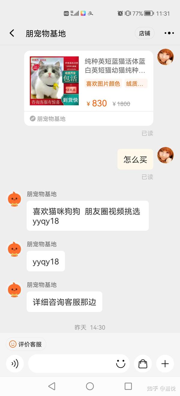 淘宝购买宠物