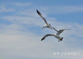 大误 · 《仙剑》翻拍演员表 7 v2 79c5ca6868d4808f48877361b36d6612 720w
