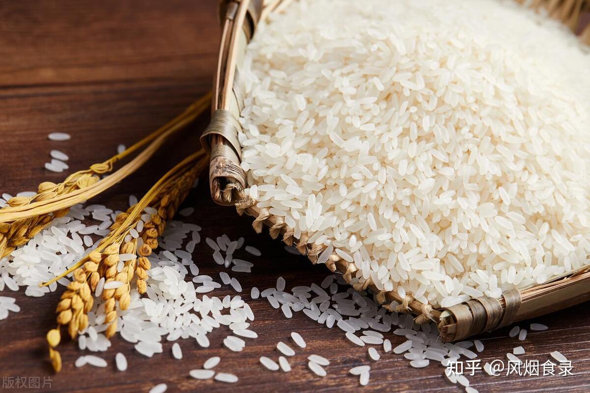 中国从南到北哪的大米最好吃经评选这6地上榜有你家乡吗