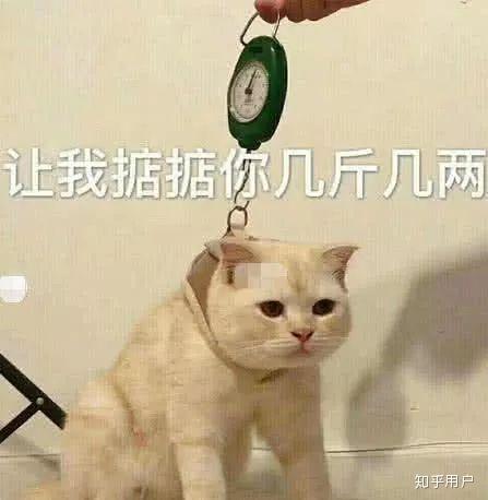 早上减肥最适合吃什么 v2-79d2ed3ddcd211d980b1c94aa5903705_r.jpg