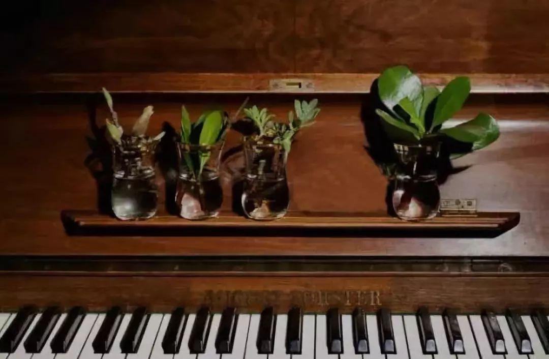 郎朗恩师朱雅芬钢琴教学笔记