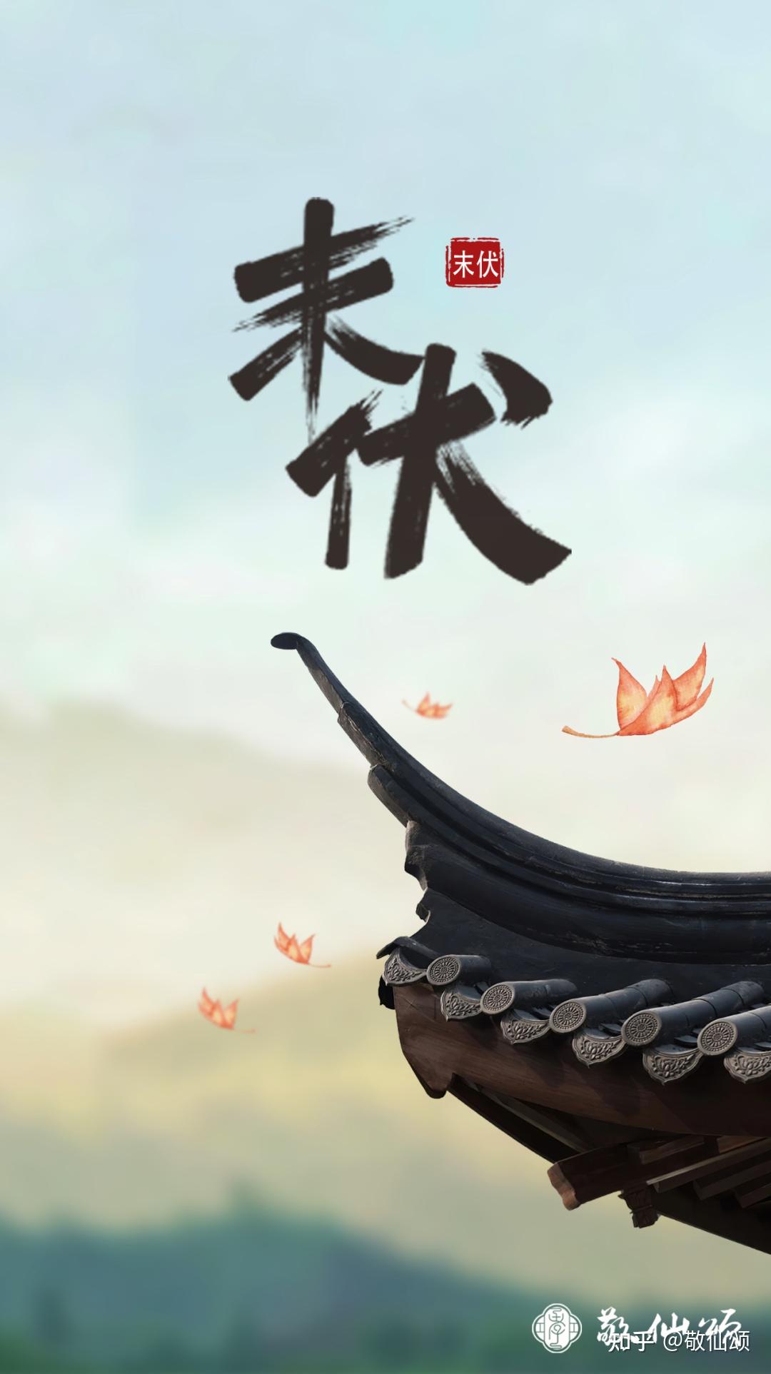 孝之观点第5期末伏秋老虎要来了