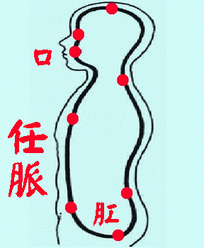 小周天运行图-小周天正确呼吸法 - 知乎