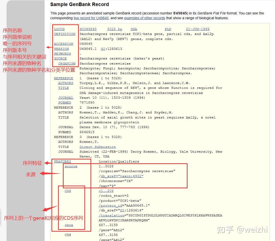 NCBI之GenBank详细介绍 - 知乎