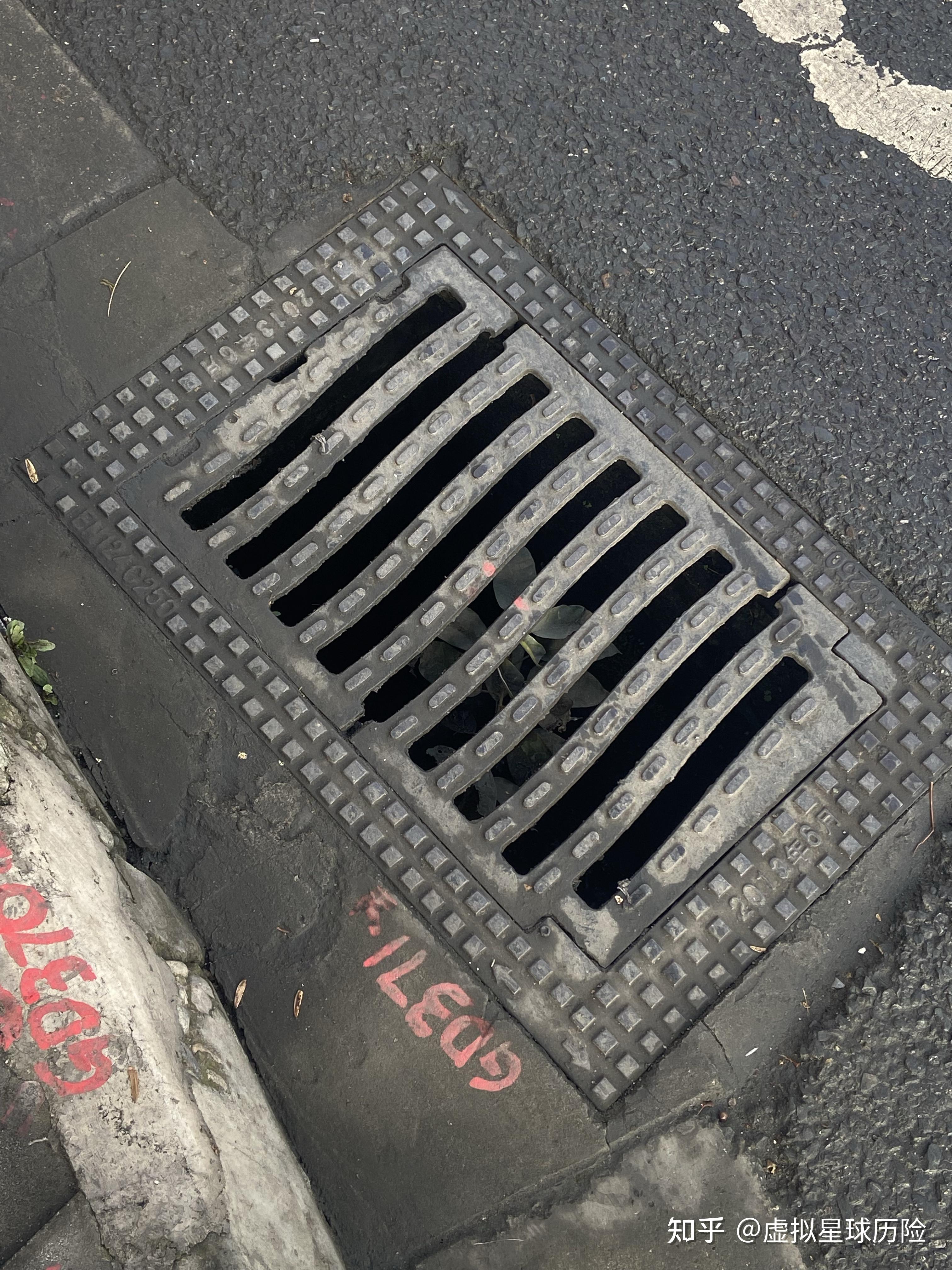 路边跟下水道成了两个截然不同的平行时空.