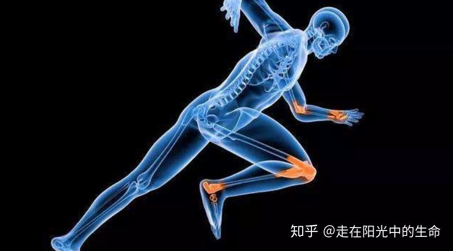 骨骼强壮不仅靠“补钙”，从中医的角度看看如何如何让骨骼强壮 知乎 