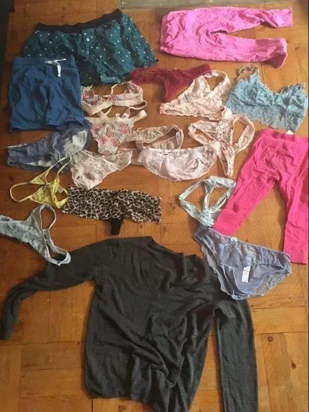 我家猫偷了女邻居6件内裤和一件xiong罩我要怎么解释我不是变态