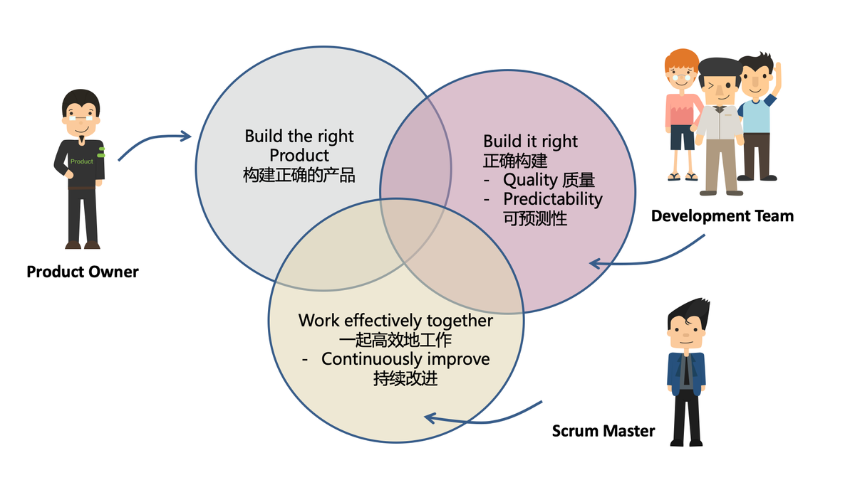 scrum的3个角色应该由什么样人来担任责任有哪些