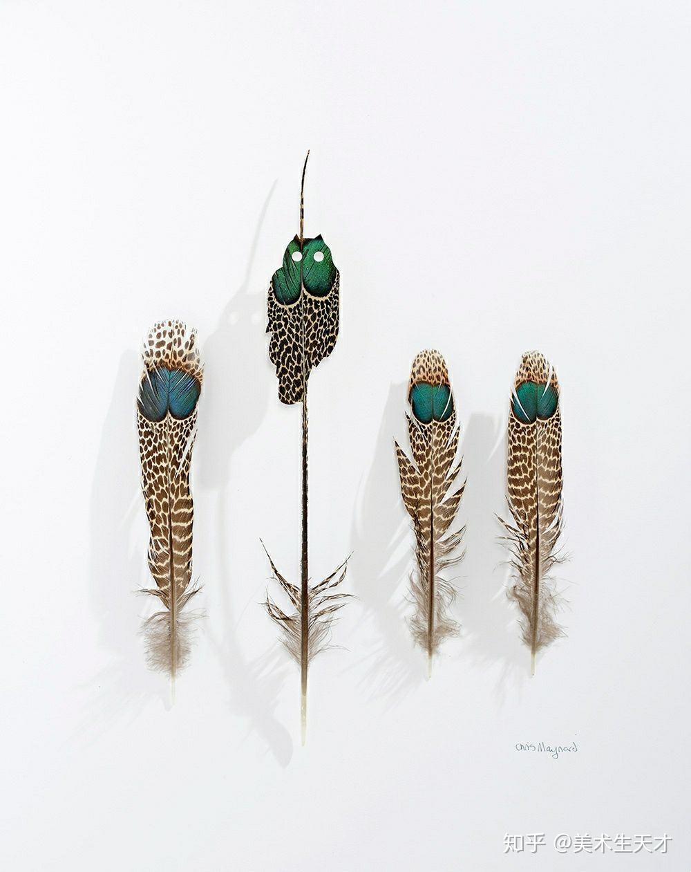 你见过这样的雕刻作品吗美国艺术家chrismaynard作品羽毛雕刻