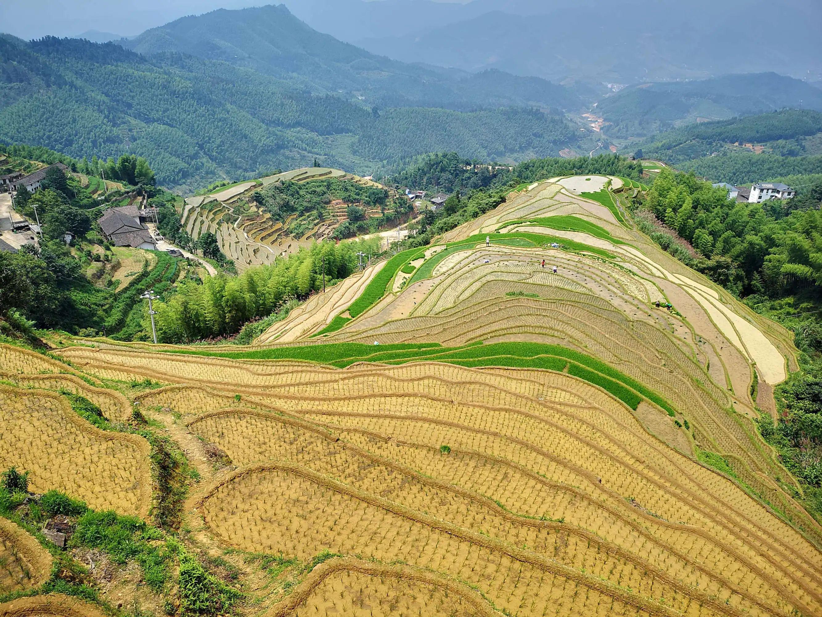 梯田美景不仅仅在云南和广西，湖南8万亩梯田成了农业文化遗产