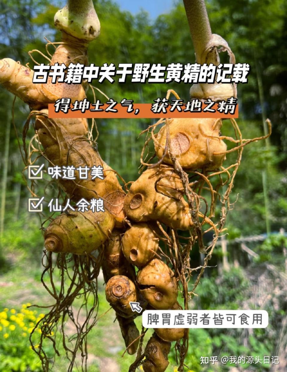 气血虚、易烦躁?它悄悄填足你的“精气” - 知乎