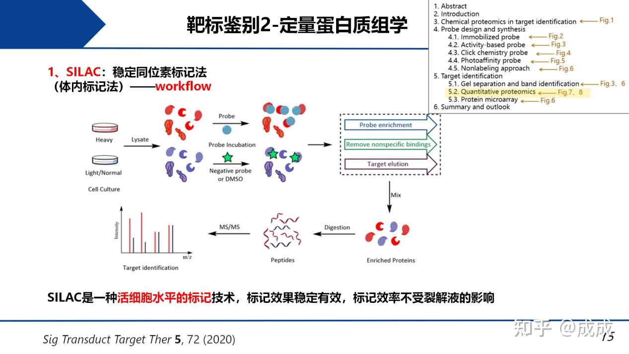 文献解读| 用化学蛋白质组学方法鉴定天然药物的靶标:探针合成、钓靶和蛋白质鉴定 - 知乎