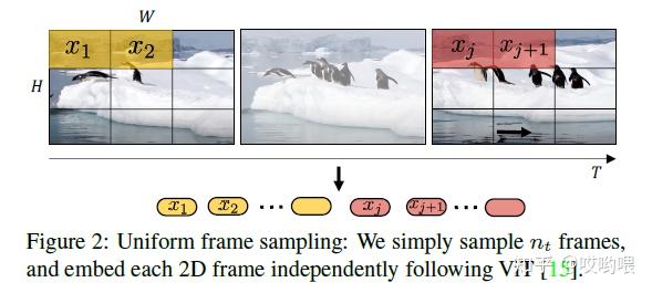 VIVIT:A video vision transformer - 知乎