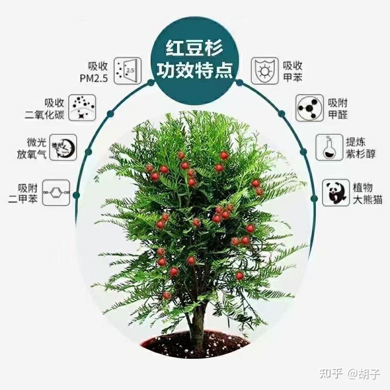 问苗农业科技有限公司成立于2019年5月30日,主要从事