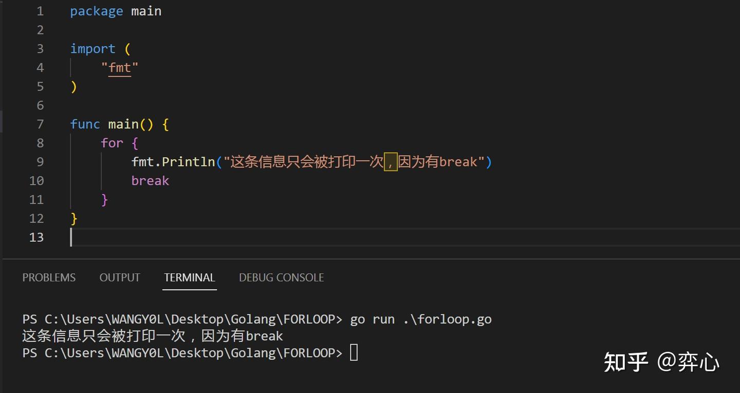 网络工程师的Golang之路 -- for循环、while循环 - 知乎