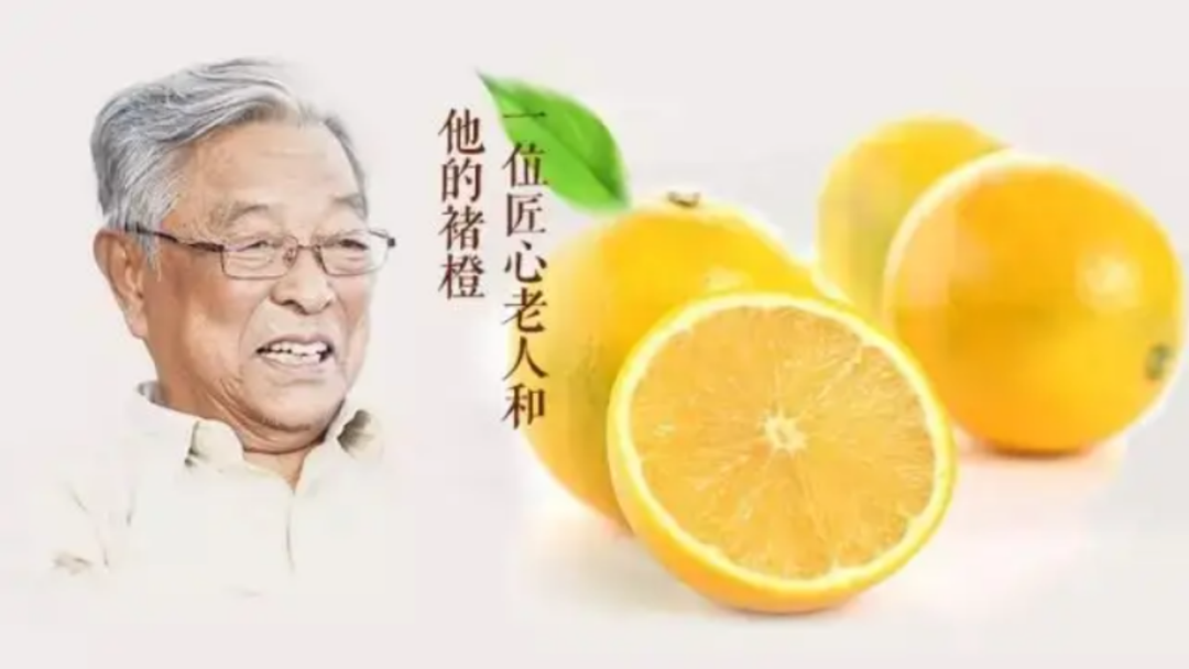 之所以冠了个「褚」字,不是因为特殊品种,而是因为创始人褚时健先生