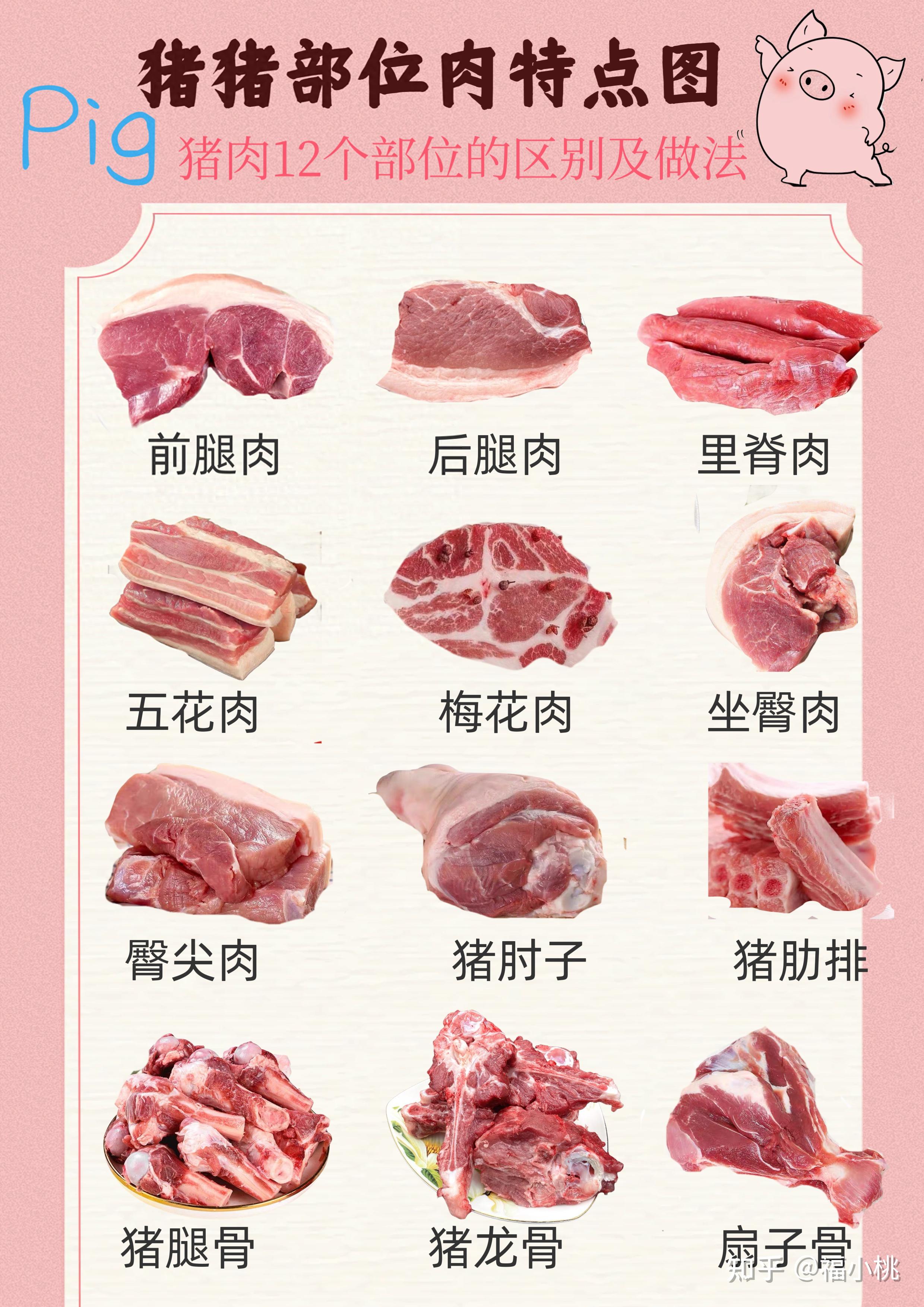 猪肉常见的12个部位的特点以及做法，有用收藏 - 知乎